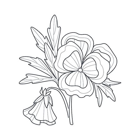 flowers sketch for coloring - Pansy Flower Monochrome Drawing For Coloring Book Hand Drawn Vector Simple Style Illustration Stock Photo - Budget Royalty-Free & Subscription, Code: 400-08651945