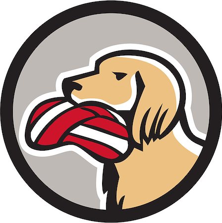 simsearch:400-08627495,k - Illustration of a head of an english setter dog holding biting deflated volleyball viewed from the side set inside circle done in retro style. Stock Photo - Budget Royalty-Free & Subscription, Code: 400-08652181