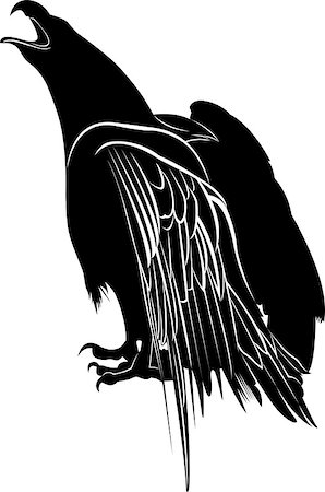 simsearch:400-04771367,k - eagle. Eagle Silhouette on white background. Hunting eagle vector silhouette Foto de stock - Royalty-Free Super Valor e Assinatura, Número: 400-08652334