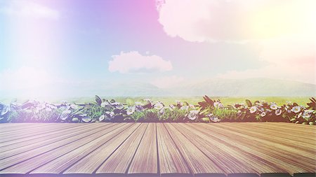 simsearch:400-09068018,k - 3D render of a wooden deck looking out to daisies and grass with retro effect Stock Photo - Budget Royalty-Free & Subscription, Code: 400-08652788