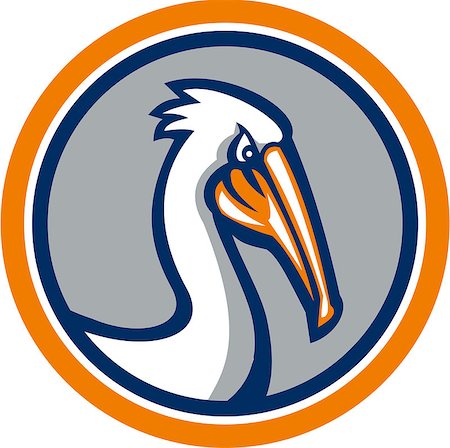 pélican blanc - Illustration of a pelican head looking down viewed from the side set inside circle on isolated background done in retro style. Photographie de stock - Aubaine LD & Abonnement, Code: 400-08652914