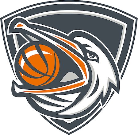 pélican blanc - Illustration of a head of a pelican bird with basketball in mouth looking up to the side set inside shield crest done in retro style. Photographie de stock - Aubaine LD & Abonnement, Code: 400-08652912
