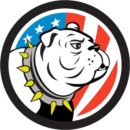 simsearch:400-08627495,k - Illustration of a bulldog head looking to the side set inside circle with usa american stars and stripes flag in the background done in cartoon style. Stock Photo - Budget Royalty-Free & Subscription, Code: 400-08652921