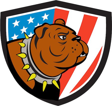 simsearch:400-08627495,k - Illustration of a bulldog head looking to the side set inside shield crest with usa american stars and stripes flag in the background done in cartoon style. Stock Photo - Budget Royalty-Free & Subscription, Code: 400-08652922