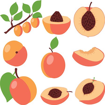 peach slice - Peach. Set peaches, pieces and slices, collection of vector illustrations on a transparent background Stock Photo - Budget Royalty-Free & Subscription, Code: 400-08652946