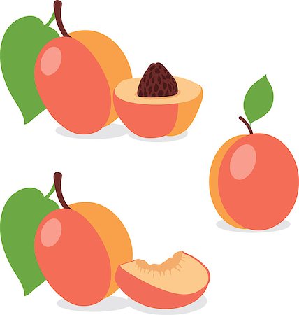 peach slice - Peach. Set peaches, pieces and slices, collection of vector illustrations on a transparent background Stock Photo - Budget Royalty-Free & Subscription, Code: 400-08652951