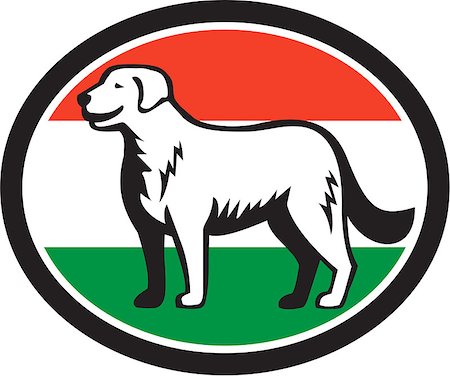 simsearch:400-08627495,k - Illustration of a Kuvasz, an ancient breed of a livestock dog of Hungarian origin standing viewed from the side with hungarian flag in the background done in retro style. Stock Photo - Budget Royalty-Free & Subscription, Code: 400-08653414