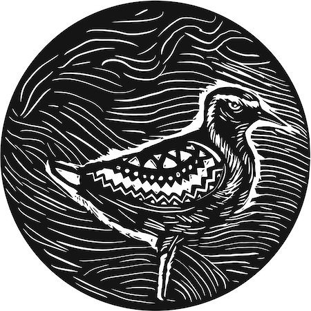 pluvier - Tribal Art style illustration of a Pacific golden plover, Pluvialis fluva or kolea, a medium-sized plover standing viewed from the side set inside circle. Photographie de stock - Aubaine LD & Abonnement, Code: 400-08653413