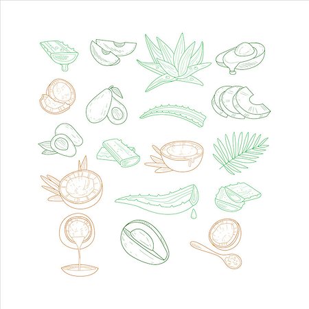 Avocado, Aloe And Coconut From Different Angles Hand Drawn Artistic Vector Illustration In Sketch Style On White Background Fotografie stock - Microstock e Abbonamento, Codice: 400-08653692