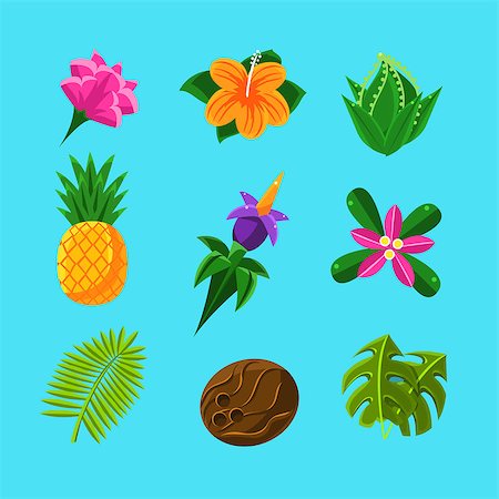 Tropical Plants And Fruits Set In Simple Realistic Cartoon Flat Vector Design Isolated On Blue Background Stock Photo - Budget Royalty-Free & Subscription, Code: 400-08653720