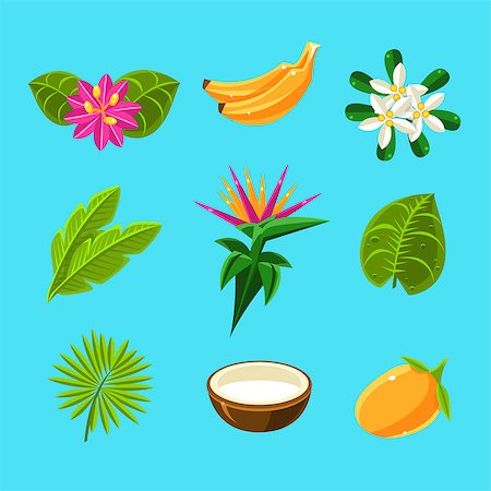 Tropical Plants And Fruits Collection In Simple Realistic Cartoon Flat Vector Design Isolated On Blue Background Stock Photo - Budget Royalty-Free & Subscription, Code: 400-08653721