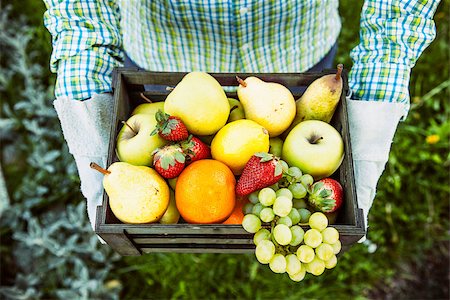 simsearch:400-08552542,k - Fresh fruit. Farmer with bowl of fruit.s. Fruit basket. Stock Photo - Budget Royalty-Free & Subscription, Code: 400-08668717