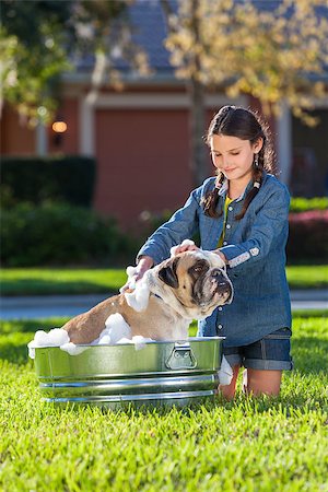 Young girl child washing her pet dog, a bulldog, outside in a metal tub Stock Photo - Budget Royalty-Free & Subscription, Code: 400-08669243