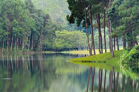 Nature landscape at morning of lakes and pine forests in Pang Ung national park of Mae Hong Son province, Thailand Stock Photo - Budget Royalty-Free & Subscription, Code: 400-08669831