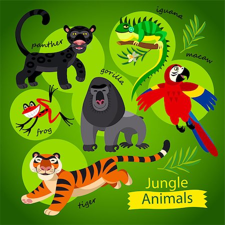 simsearch:400-08674283,k - Childish illustration in cartoon style. Part 1: Panther, gorilla, tiger, iguana, frog, parrot Stock Photo - Budget Royalty-Free & Subscription, Code: 400-08674281