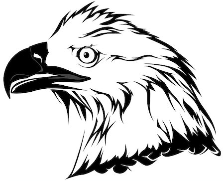 drawing eagle clipart - Bald Eagle Head - Black Illustration, Vector Stock Photo - Budget Royalty-Free & Subscription, Code: 400-08674332