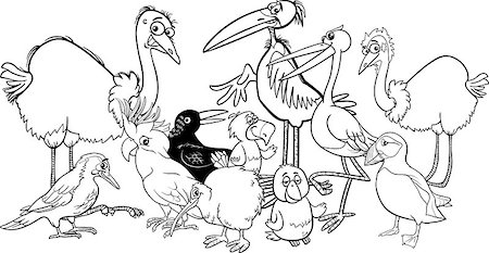 simsearch:400-08674472,k - Black and White Cartoon Illustration of Various Birds Animal Characters Group Coloring Book Stock Photo - Budget Royalty-Free & Subscription, Code: 400-08674473