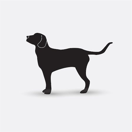 retriever silhouette - Vector silhouette of a dog on a white background. Stock Photo - Budget Royalty-Free & Subscription, Code: 400-08675228