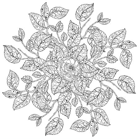 flowers sketch for coloring - mandala shaped contoured flowers, leaves. black and white, for coloring book or poster colouring book style luxury roses in zenart style, could be used for Adult colouring book. Stock Photo - Budget Royalty-Free & Subscription, Code: 400-08677059