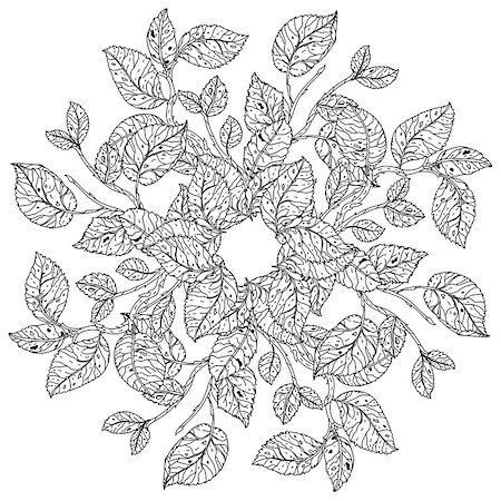 flowers sketch for coloring - mandala shaped contoured garden flowers, leaves. black and white, for coloring book or poster colouring book style luxury roses in zenart style, could be used for Adult colouring book. Stock Photo - Budget Royalty-Free & Subscription, Code: 400-08677060