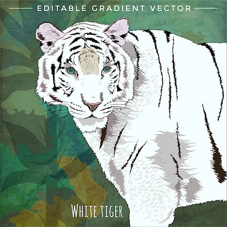 simsearch:400-04233312,k - Wild cats in the habitat. White Tiger Stock Photo - Budget Royalty-Free & Subscription, Code: 400-08677507