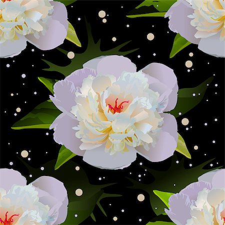 peony art - White lily on black water. Seamless floral background. Illustration in vector format Stock Photo - Budget Royalty-Free & Subscription, Code: 400-08677589