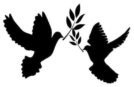 dove birds and olive leaves pictures - vector illustration of a dove with olive branch Stock Photo - Budget Royalty-Free & Subscription, Code: 400-08678917