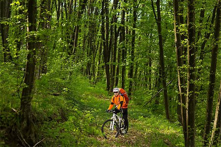 simsearch:400-06922980,k - Biker in orange jersey travels on the forest road Stock Photo - Budget Royalty-Free & Subscription, Code: 400-08679036