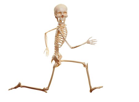 simsearch:400-05364333,k - Skeleton running isolated on the white background. Looking at camera. Fotografie stock - Microstock e Abbonamento, Codice: 400-08679379