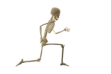 simsearch:400-05364333,k - Skeleton running isolated on the white background. Fotografie stock - Microstock e Abbonamento, Codice: 400-08679384