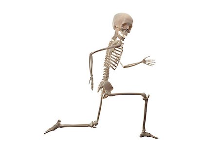 simsearch:400-05364333,k - Skeleton running isolated on the white background. Looking at camera. Fotografie stock - Microstock e Abbonamento, Codice: 400-08679383