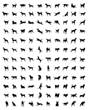 simsearch:400-09091868,k - Black silhouettes of different races of dogs, vector Fotografie stock - Microstock e Abbonamento, Codice: 400-08679593