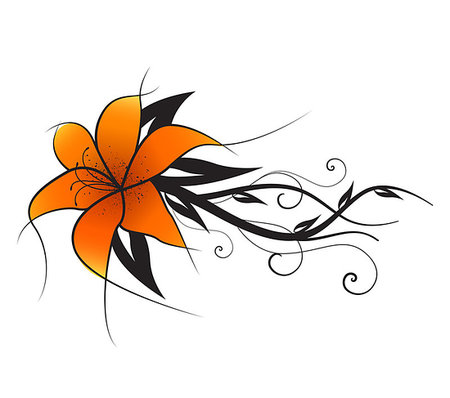 Vector illustration of orange lilies, vintage decoration flowers Stock Photo - Budget Royalty-Free & Subscription, Code: 400-08679702