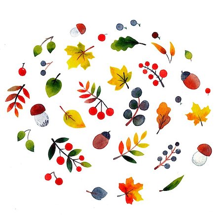 fall aspen leaves - Autumn watercolor elements on a white background Stock Photo - Budget Royalty-Free & Subscription, Code: 400-08679902