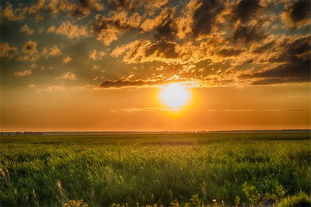 simsearch:400-07932789,k - Field of green grass and sunset with stormy clouds. HDR photo Stock Photo - Budget Royalty-Free & Subscription, Code: 400-08670240