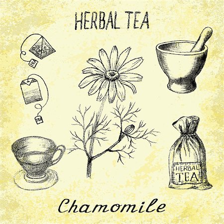 Chamomile herbal tea. Set of vector elements on the basis hand pencil drawings. Herb chamomile, tea bag, mortar and pestle, textile bag, cup. For labeling, packaging, printed products Foto de stock - Super Valor sin royalties y Suscripción, Código: 400-08670338