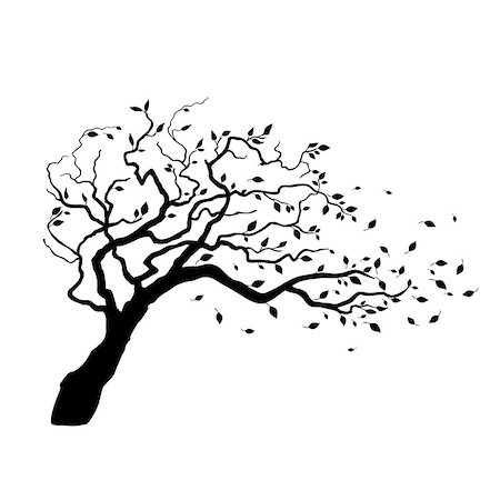 Vector Tree Silhouette Isolated on White Backgorund. Stockbilder - Microstock & Abonnement, Bildnummer: 400-08670376