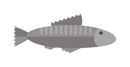 simsearch:400-04736015,k - Fish floating, water pollution cartoon flat vector. Gray fish animal nature food and fish ecology environment. Fish icon isolated on white Photographie de stock - Aubaine LD & Abonnement, Code: 400-08670943