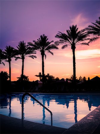 Sunset over pool with palm trees in silhouette against serene beautiful summers evening sky. Stock Photo - Budget Royalty-Free & Subscription, Code: 400-08671035