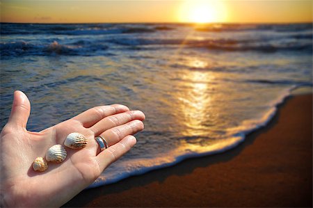 studio023 (artist) - Open palm with sea shells on a beach at sunset Stockbilder - Microstock & Abonnement, Bildnummer: 400-08671406