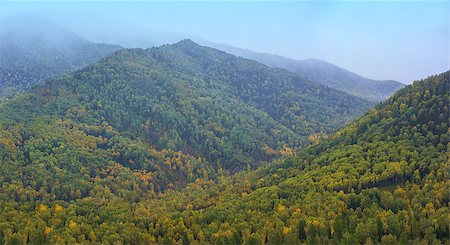 forêt boréale - Altay mountains in beauty day, Siberia, Russia Photographie de stock - Aubaine LD & Abonnement, Code: 400-08673276