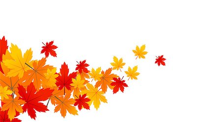 Background with maple autumn leaves Stock Photo - Budget Royalty-Free & Subscription, Code: 400-08680959