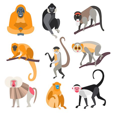 Collection of monkeys in flat style, vector illustration Stock Photo - Budget Royalty-Free & Subscription, Code: 400-08681449