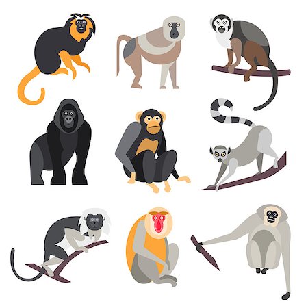 Collection of primates in flat style, vector illustration Stock Photo - Budget Royalty-Free & Subscription, Code: 400-08681450