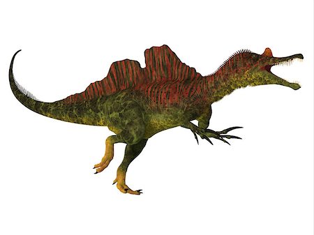 simsearch:400-08694325,k - Ichthyovenator was a theropod spinosaur dinosaur that lived in Laos, Asia in the Cretaceous Period. Foto de stock - Super Valor sin royalties y Suscripción, Código: 400-08694315