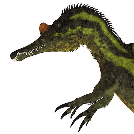 simsearch:400-08694325,k - Ichthyovenator was a theropod spinosaur dinosaur that lived in Laos, Asia in the Cretaceous Period. Foto de stock - Super Valor sin royalties y Suscripción, Código: 400-08694316