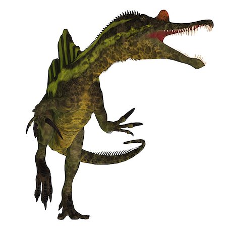 simsearch:400-08694325,k - Ichthyovenator was a theropod spinosaur dinosaur that lived in Laos, Asia in the Cretaceous Period. Foto de stock - Super Valor sin royalties y Suscripción, Código: 400-08694317