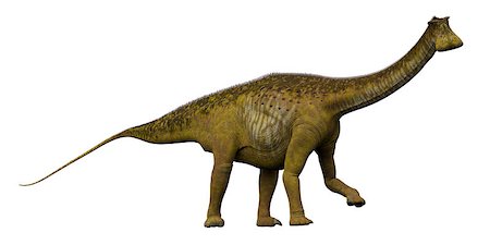 simsearch:400-08694325,k - Nigersaurus was a sauropod herbivorous dinosaur that lived in the Republic of Niger, Africa during the Cretaceous Period. Foto de stock - Super Valor sin royalties y Suscripción, Código: 400-08694328