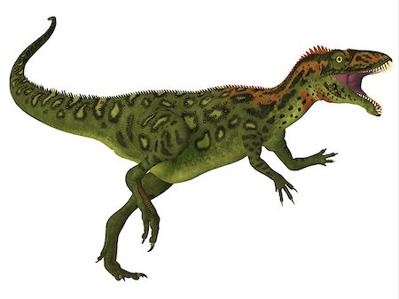 simsearch:400-08694325,k - Masiakasaurus was a theropod dinosaur that lived in Madagascar during the Cretaceous period. Foto de stock - Super Valor sin royalties y Suscripción, Código: 400-08694322