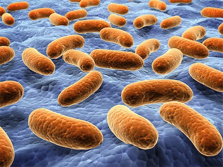 simsearch:400-04337180,k - Pathogen bacteria on the surface.  3d render Stock Photo - Budget Royalty-Free & Subscription, Code: 400-08694731